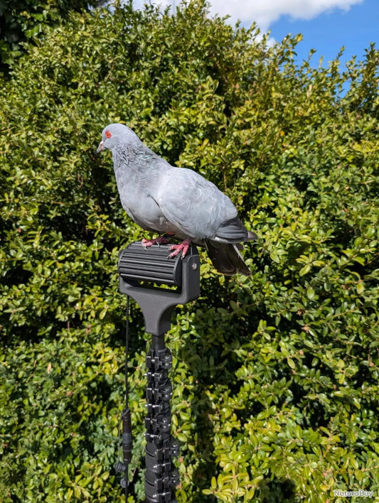 alt="Mât carbone pour la chasse au gibier migrateur installé sur un poste de chasse, léger et résistant, utilisé pour les pigeons et palombes