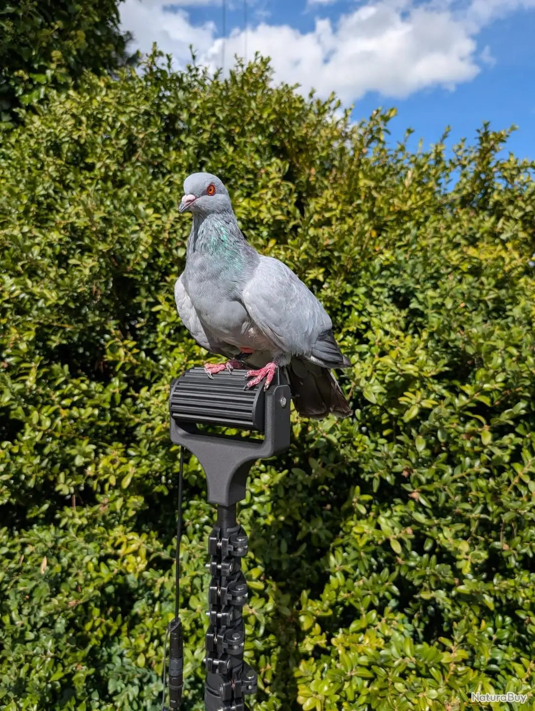 Rouleau électrique LV Migration posé près d’un support de mât de 15 m