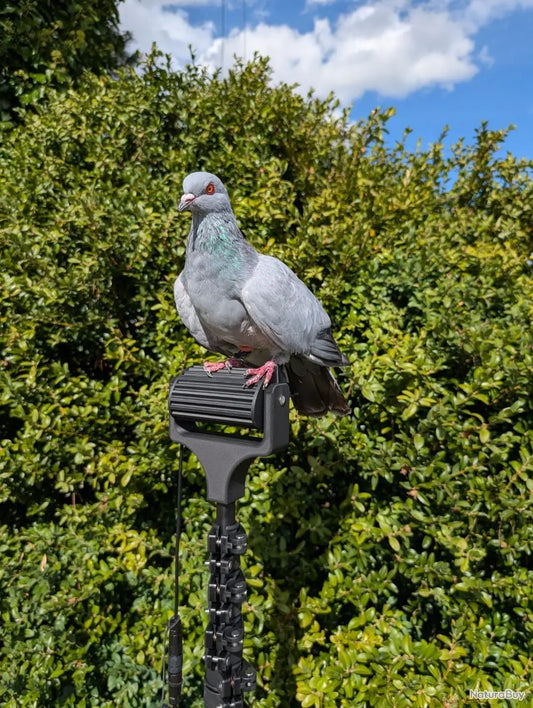 Rouleau électrique LV Migration posé près d’un support de mât de 15 m