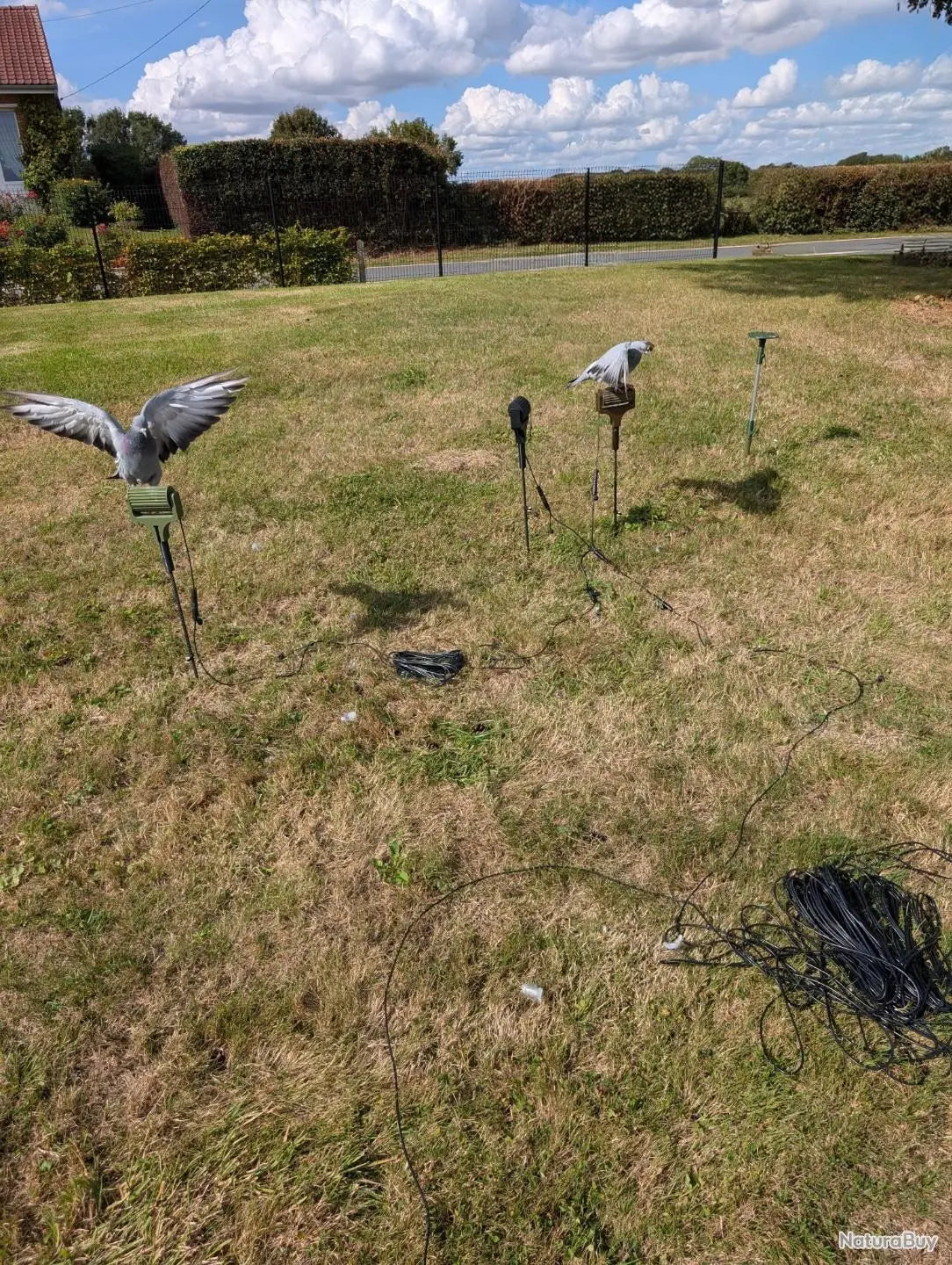 Détail du rouleau 12 V LV Migration monté sur support métallique de 50 cm