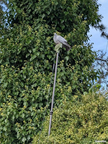 Mât en carbone pour la chasse du pigeon ramier / palombe 18m LV Migration