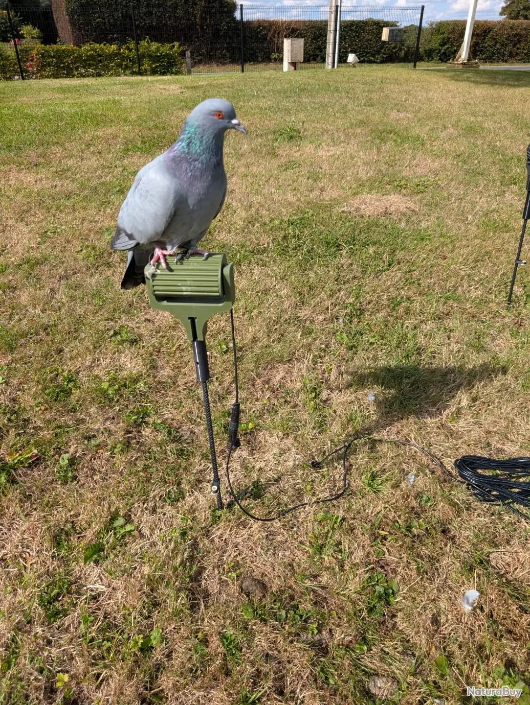 Kit rouleau électrique LV Migration complet avec télécommande et câble 25 m