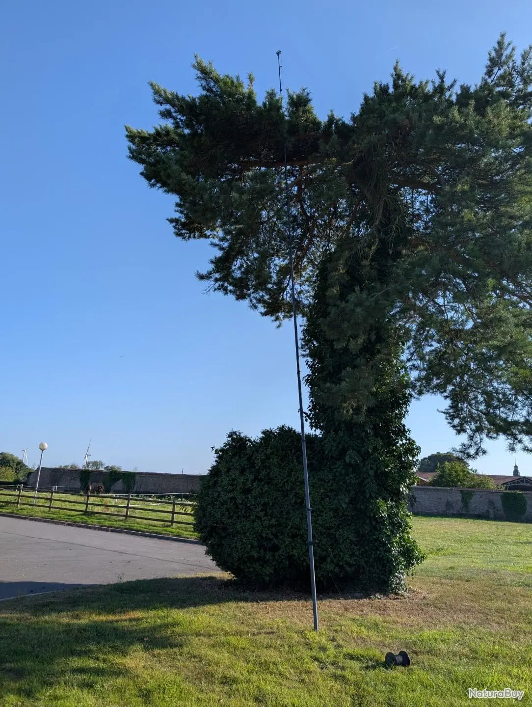 Mât en carbone pour la chasse du pigeon ramier / palombe 18m LV Migration