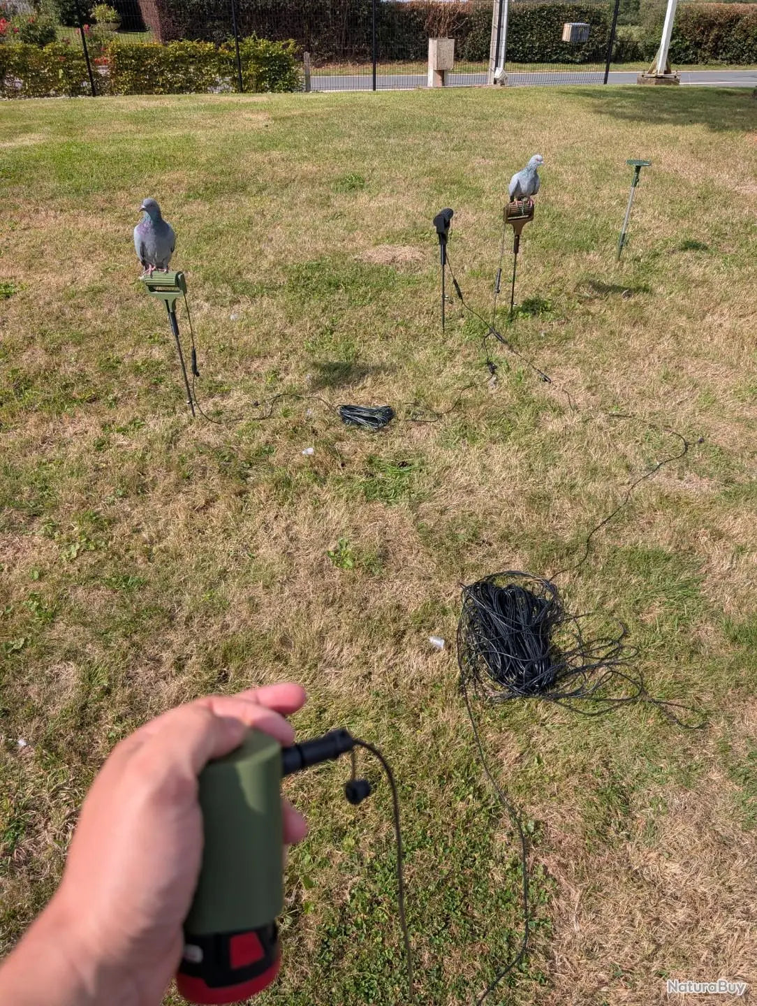 Télécommande sans fil LV Migration compatible batteries 12 V