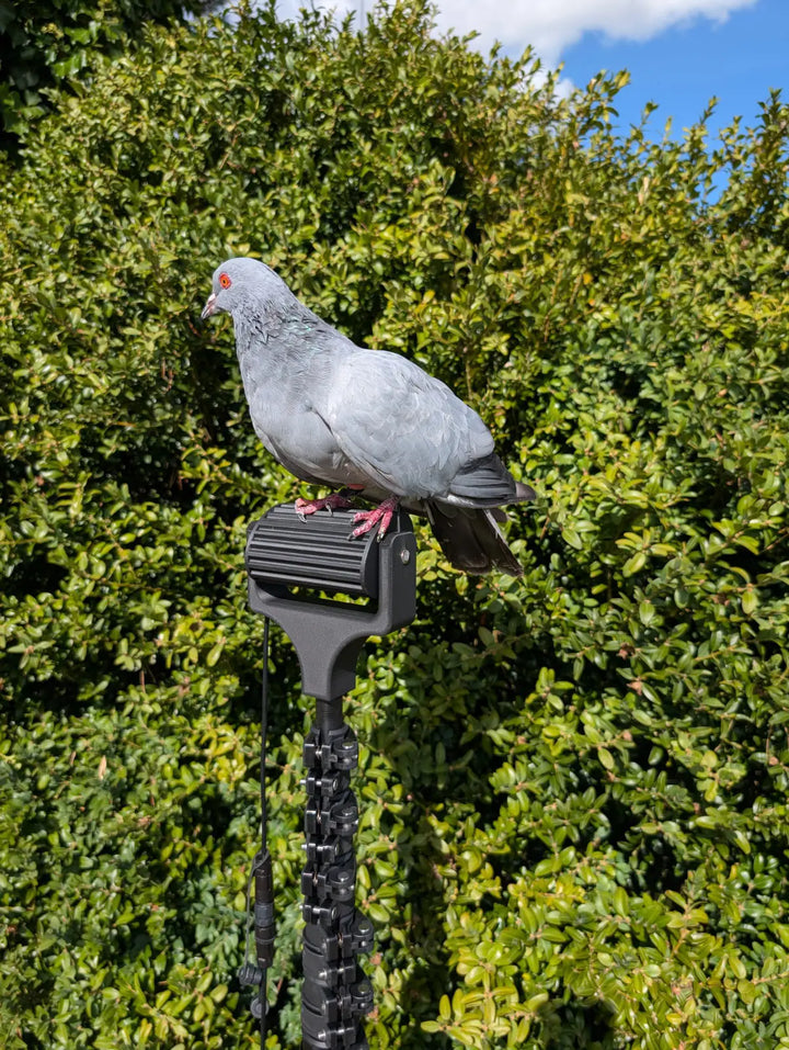 Kit complet mât carbone avec guides-ficelles et palette manuelle