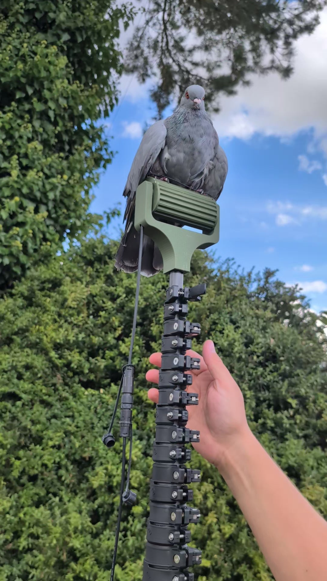 Charger la vidéo : Chasseur installant un mât en fibre de carbone dans un champ dégagé